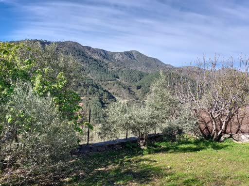 Casa Rural Mi Balconcito Касарес-де-лас-Урдес Экстерьер фото
